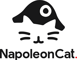 Job offer Customer Acquisition Team Leader - NapleonCat